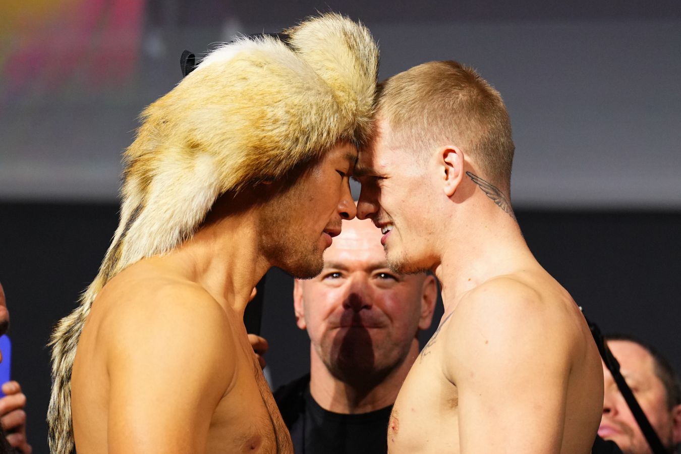 ufc-310-volkov-gan-prjamaja-transljacija-08-12-2024-smotret-onlajn-besplatno